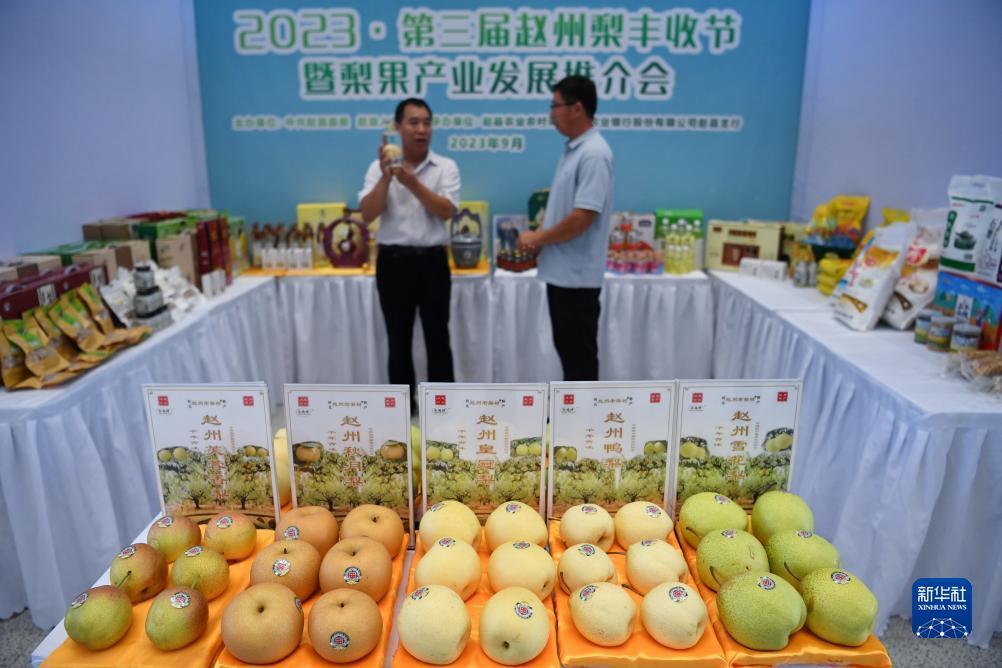 酷鱼电玩城唯一官网